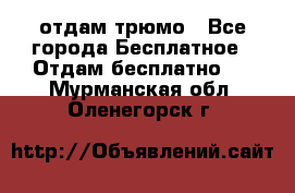 отдам трюмо - Все города Бесплатное » Отдам бесплатно   . Мурманская обл.,Оленегорск г.